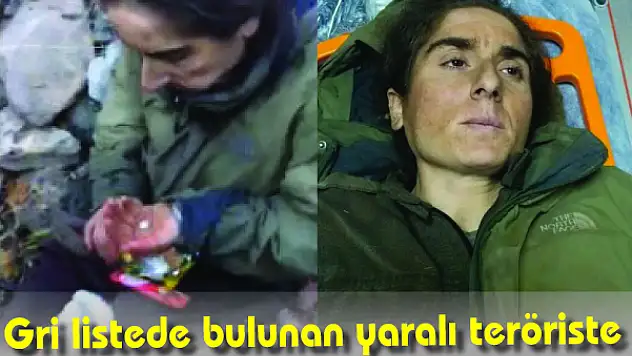 Gri listede bulunan yaralı teröriste ilk müdahale Mehmetçik'ten
