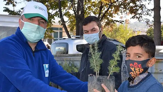 HACILAR BELEDİYESİ VATANDAŞA 1000 ADET SEDİR VE KARAÇAM DAĞITTI