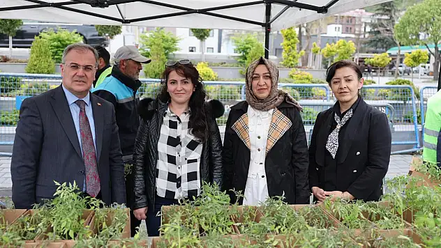 Hacılar'da ücretsiz fide dağıtıldı