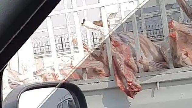 HANGİ HAYVANA AİT OLDUĞU BİLİNMEYEN ETLERİ İNŞAAT MALZEMESİ TAŞIR GİBİ TAŞIDILAR