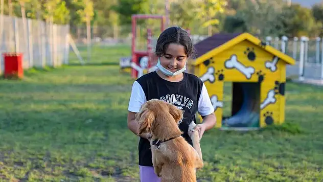 HAYVANSEVERLERDEN PATİYOL'A ÖZEL TEŞEKKÜR