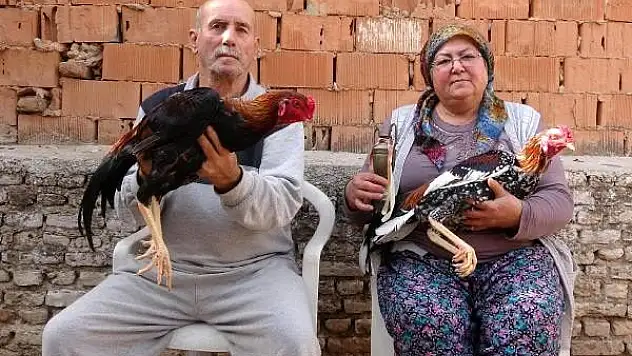HOBİ OLARAK BAŞLADILAR, GEÇİM KAYNAKLARI OLDU