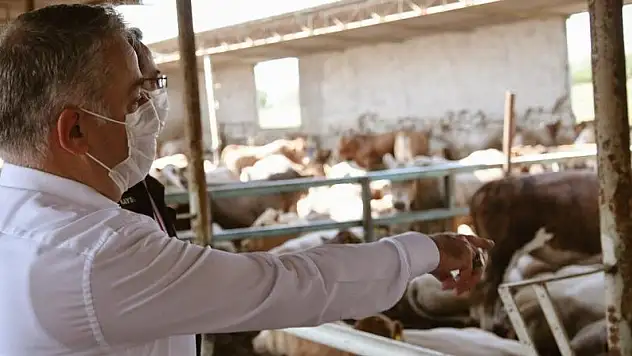 İL TARIM VE ORMAN MÜDÜRÜ ŞAHİN: 'ASIL SORUN ETTE DEĞİL OTTA'