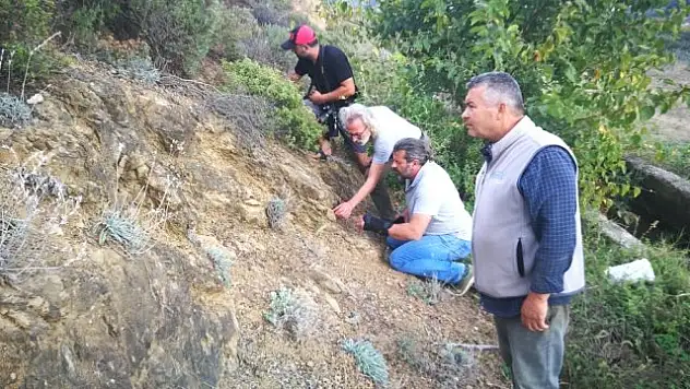 İZNİK'TE MİKROORGANİZMA FOSİLİ KALINTISI BULUNDU