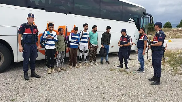 Jandarmadan uyuşturucu ve kaçakçılık operasyonu