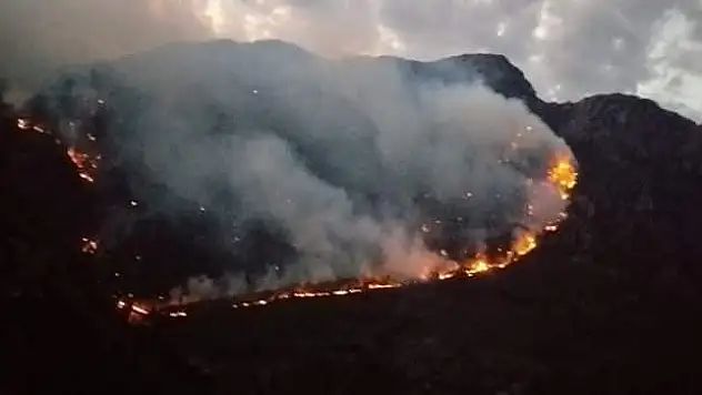 KAHRAMANMARAŞ'TA ORMAN YANGINI
