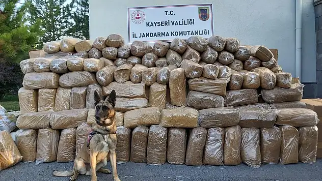 KARGO ARACINDA 6 TON 280 KİLOGRAM TÜTÜN YAKALANDI
