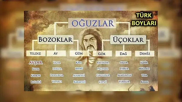 Kayı'dan Avşar'a: 24 Oğuz boyunun tarihi yolculuğu