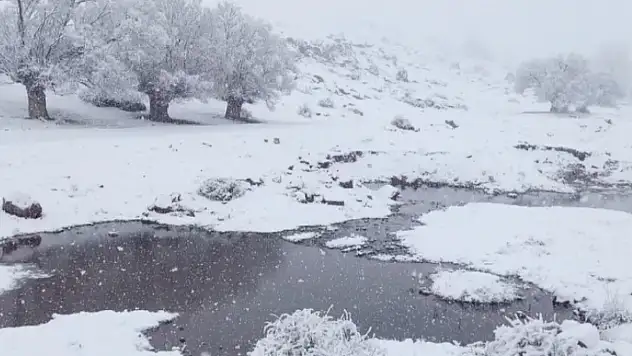 Kayseri'de 3 ilçede kar yağışı etkili oldu