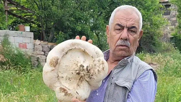 Kayseri'de 3 kilo 400 gram mantar buldu