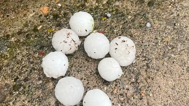 Kayseri'de ceviz büyüklüğünde yağan dolu ağaçlara zarar verdi