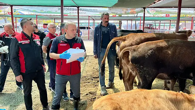 Kayseri'de Kurban Bayramı mesaisi: 173 veteriner sahada görev yapacak