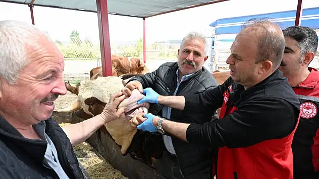 Kayseri'de Kurban Bayramı öncesinde denetimler sıklaştırıldı