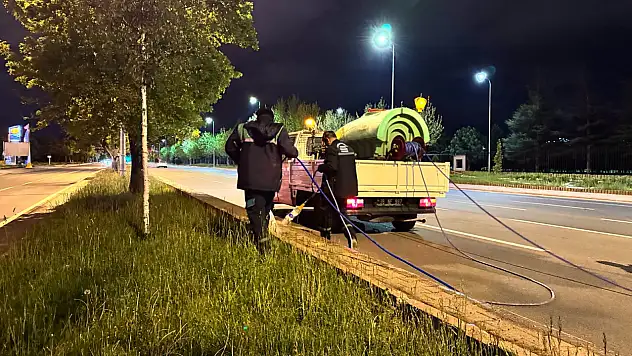 Kayseri'de park ve yeşil alanlarda ilaçlama çalışması başladı