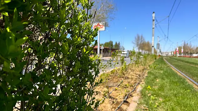 Kayseri'de ulaşım hatlarında doğa rüzgarı