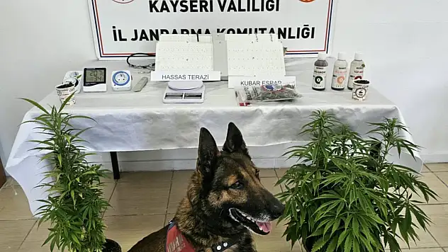 Kayseri'de uyuşturucu operasyonu: 1 kişi gözaltına alındı