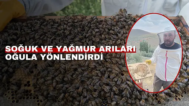Kayseri'de yağmurlu hava arıcılığı olumsuz etkiledi