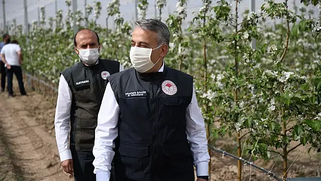 KAYSERİ ELMA YETİŞTİRİCİLİĞİNDE 5. SIRADA