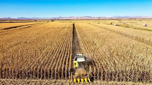 Kayseri, işlenen tarım alanı ve bitkisel üretimde ilk 5'te yer aldı