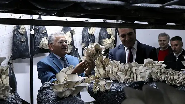 Kayseri istiridye mantarının üretim merkezi olacak