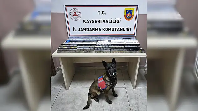 Kayseri Jandarması 525 paket kaçak sigara ele geçirdi
