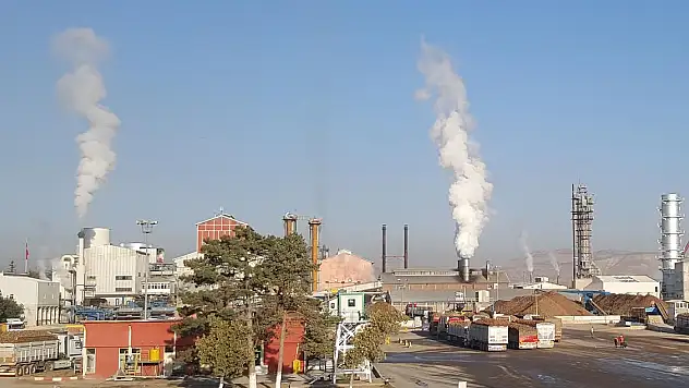 KAYSERİ ŞEKERDEN PANCAR ÇİFTÇİSİNE 54 MİLYON TL SÖKÜM AVANSI
