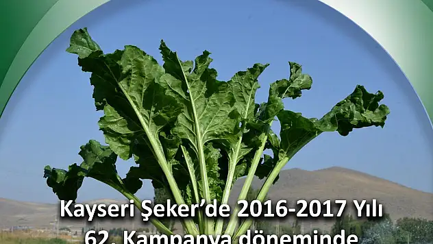 Kayseri Şeker'den Rekor Taban Fiyat