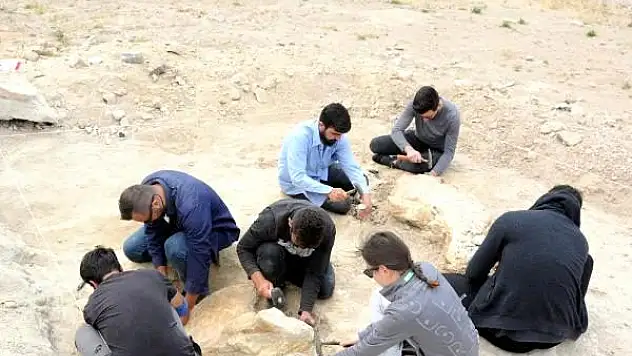 Kayseri'de aralarında 7,5 milyon yıllık fil fosilinin de yer aldığı 280 fosil çıkarıldı!