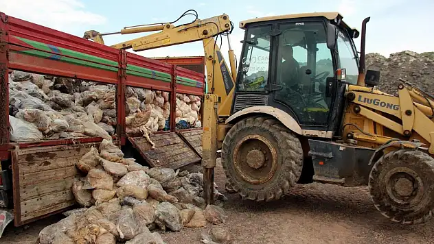 Kayseri'de ele geçirilen 14 ton kaçak sakatat imha edildi