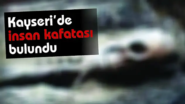 Kayseri'de insan kafatası bulundu