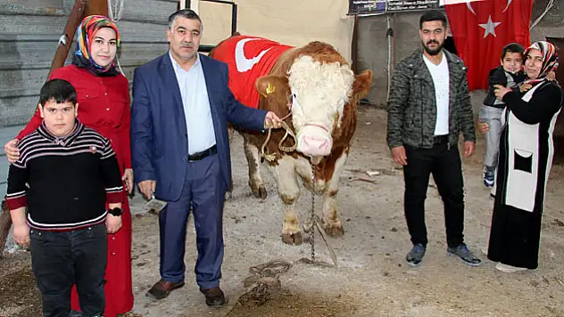 Kayserili besici dev boğasını Mehmetçiğe bağışladı