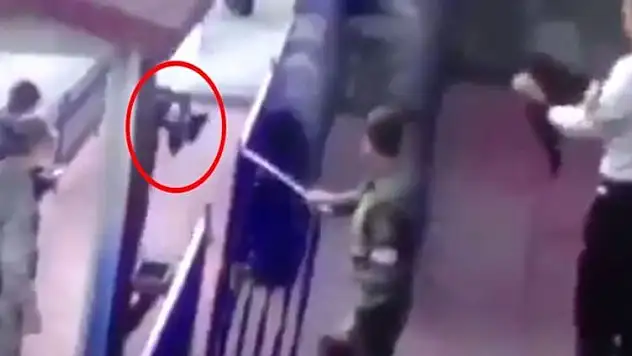 Kediye yapılan işkenceye ilişkin Erzincan Valiliğinden açıklama