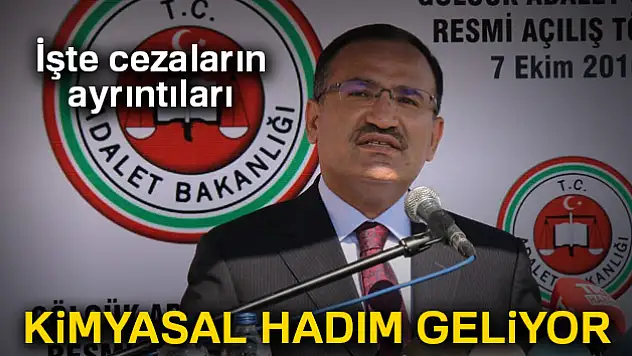 Kimyasal hadım geliyor