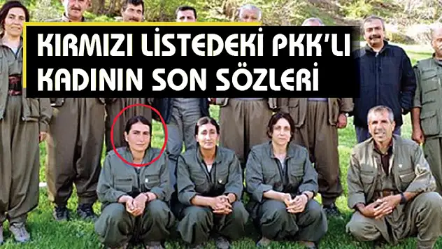 Kırmızı Listedeki PKK'lı Hülya Eroğlu'nun Son Sözleri Ortaya Çıktı