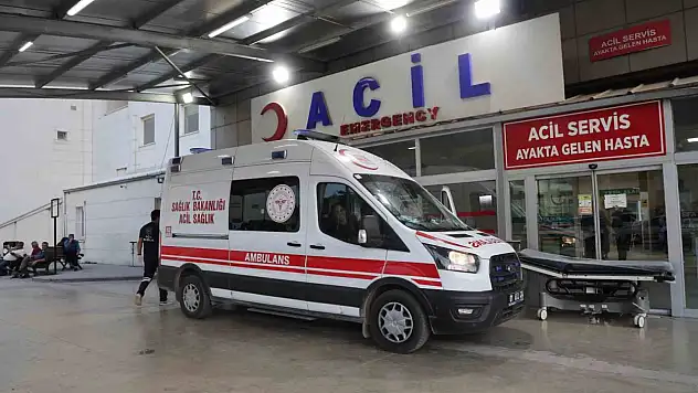 Kız alıp verme husumeti kanlı bitti: Baba ve oğlu öldürüldü