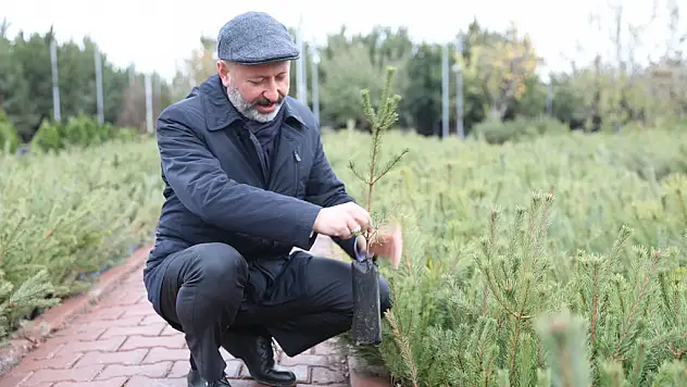 KOCASİNAN BELEDİYESİ, DAHA YEŞİL KOCASİNAN İÇİN ÇALIŞIYOR