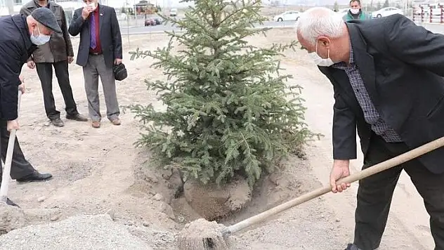 KOCASİNAN MESAİYE AĞAÇ DİKEREK BAŞLADI