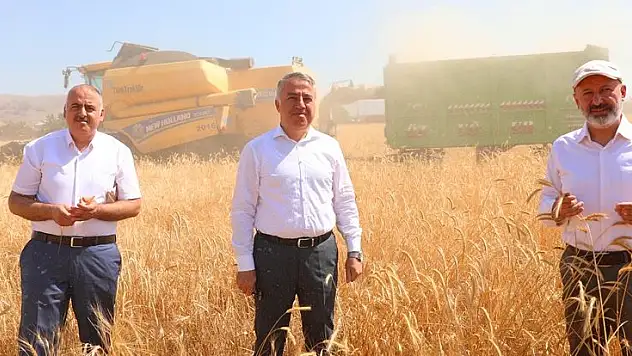 KOCASİNAN'DA 10 BİN YILLIK SİYEZ BUĞDAYININ HASADI YAPILDI