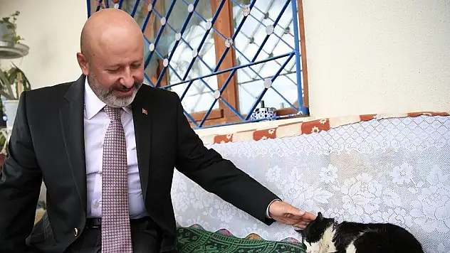KOCASİNAN'DAN KÜÇÜK DOSTLARA 'KEDİ KASABASI'