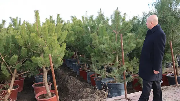 KOCASİNAN'IN FİDANLIĞI AR-GE FAALİYETİ YÜRÜTÜLEN ÜRETİM MERKEZİ