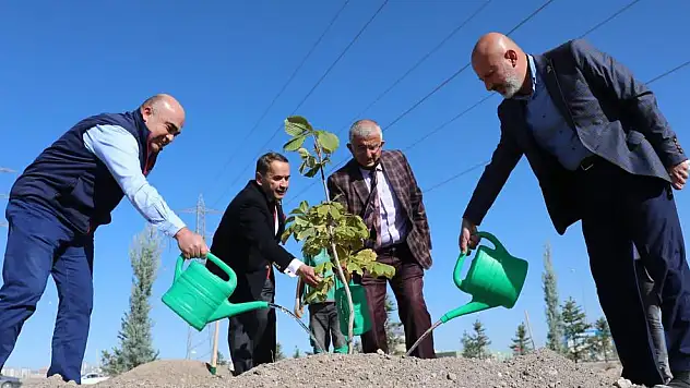 KOCASİNAN'IN YEŞİLLENDİRME ÇALIŞMALARI HIZ KESMİYOR