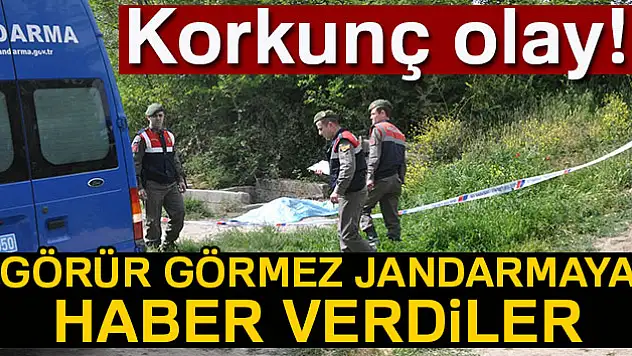 Korkunç olay! Görür görmez jandarmaya haber verdiler