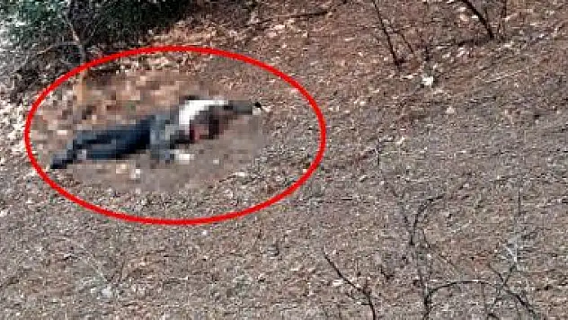 'KUMA' CİNAYETİNDE KAN DONDURAN İFADE: 'ÇOCUKLARININ ÖNÜNDE BAŞINI EZDİM'