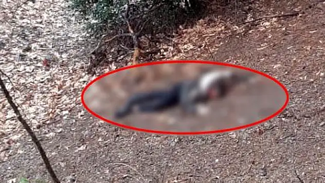 KUMA OLMAK İSTEMEYEN KADINI UÇURUMDAN ATIP, BAŞINI TAŞLA EZDİ