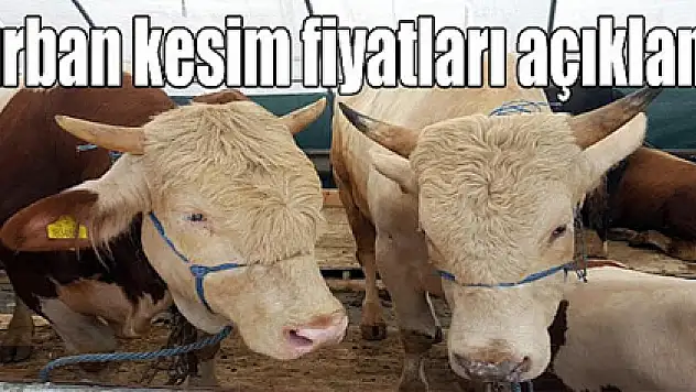 KURBAN KESİM FİYATLARI BELİRLENDİ
