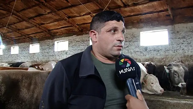 KURBAN PAZARLARI HAREKETLENDİ: KURBANLIK ALIRKEN DİKKAT!