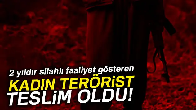 Kurulan irtibat sonucu kadın terörist teslim oldu