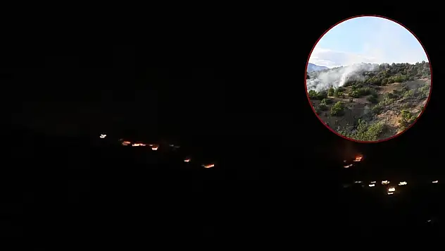 Malatya'daki orman yangınını söndürme çalışmaları sürüyor