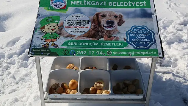 Melikgazi Belediyesi Sokak Hayvanlarını Unutmadı