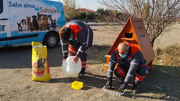MELİKGAZİ BELEDİYESİ YASAKTA SOKAK HAYVANLARINI UNUTMADI